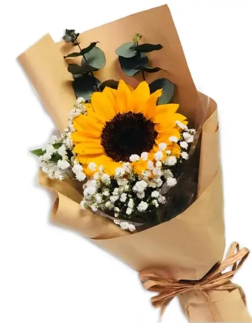 A046.webp