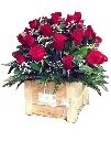 A032.webp