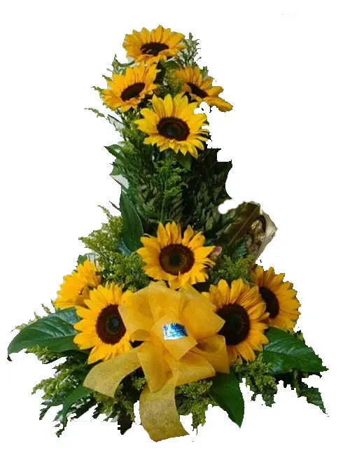 A084.webp
