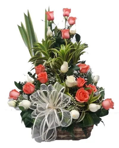 A192.webp