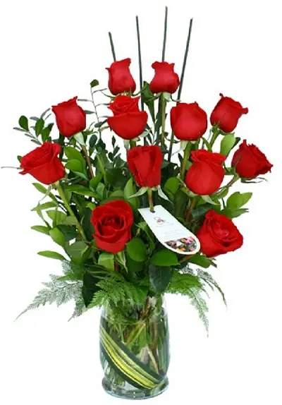 A038.webp