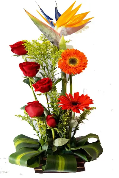 A039.webp