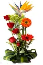A039.webp