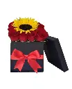 A044.webp