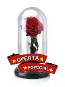 ROSA PRESERVADA PRESTIGIO.webp