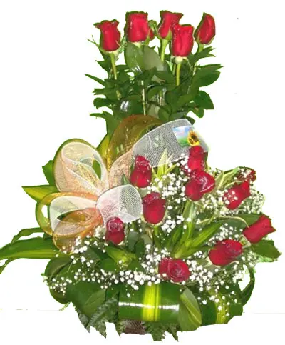 A205.webp