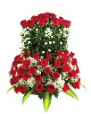 A290.webp