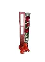 A073.webp