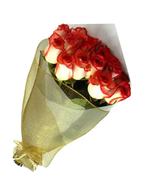 A069.webp