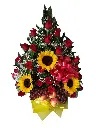 A023.webp