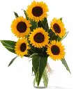 A016.webp