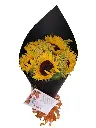 A160.webp