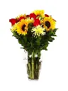 A037.webp