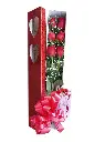 A079.webp