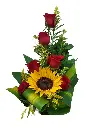 A170.webp