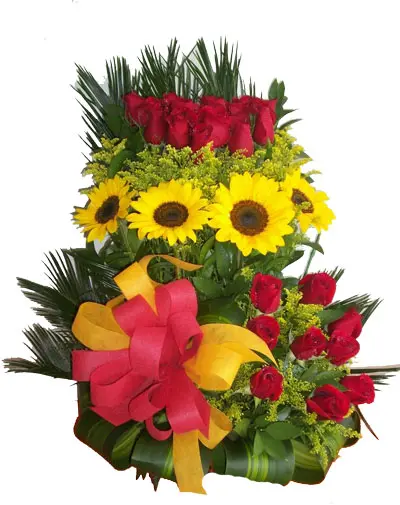 A203.webp