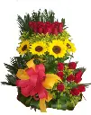 A203.webp