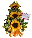 A214.webp