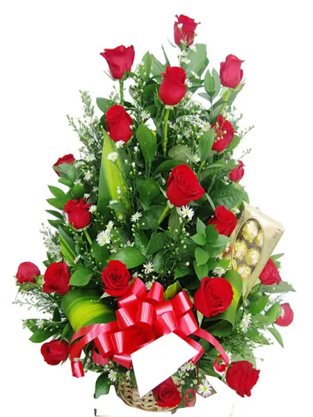 A092.webp