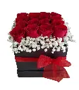 A139.webp
