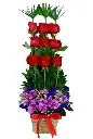 A101.webp