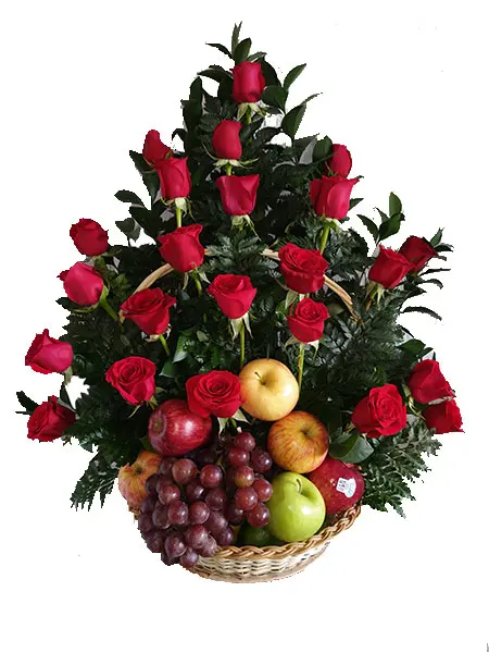 A105.webp