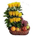 A143.webp