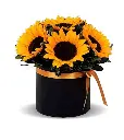 A140.webp