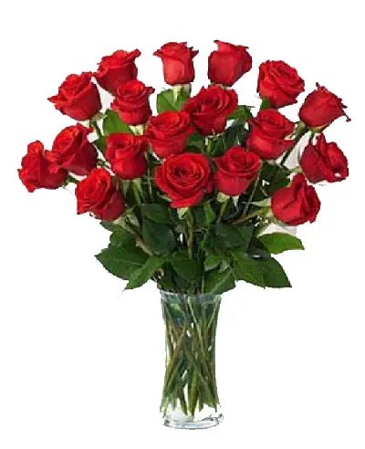 A267.webp