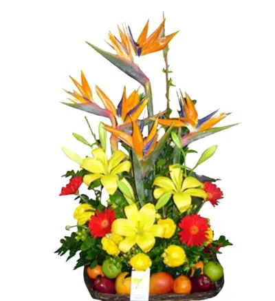 A123.webp