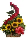 A003.webp