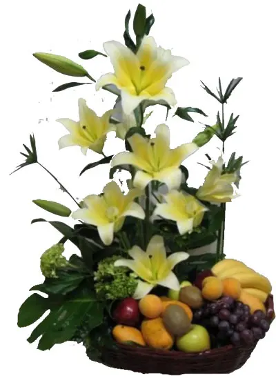 A129.webp
