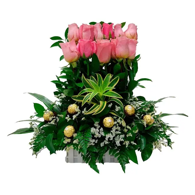 A135.webp
