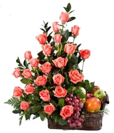 A141.webp