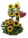 A010.webp