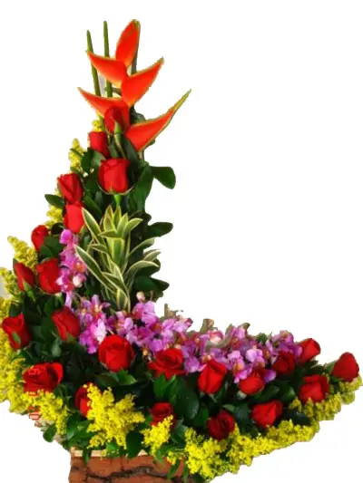 A279.webp