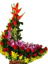 A279.webp