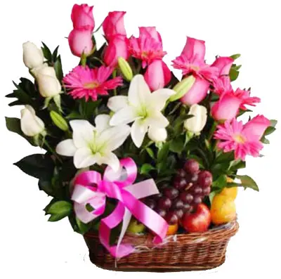A151.webp
