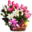 A151.webp