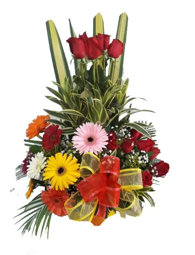 A277.webp