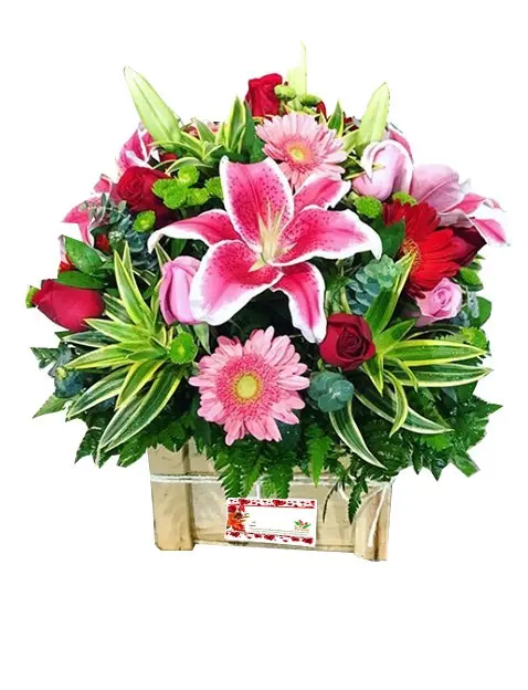 A235.webp