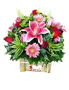 A235.webp