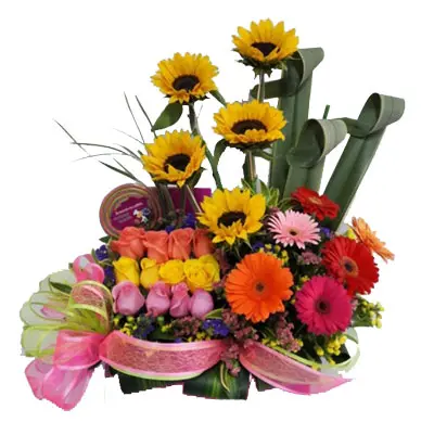 A169.webp