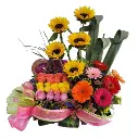 A169.webp