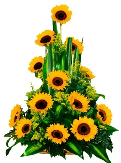 A171.webp