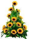 A171.webp