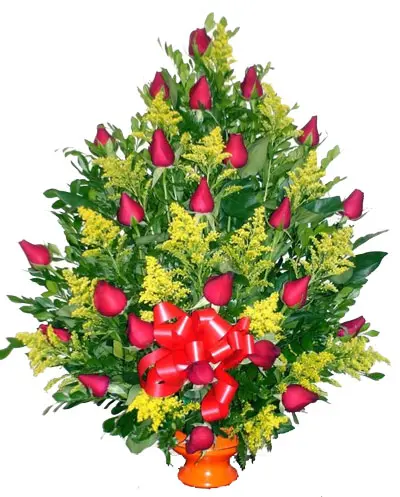 A175.webp