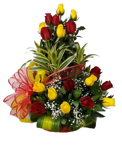 A177.webp