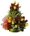 A177.webp