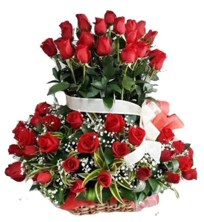 A042.webp